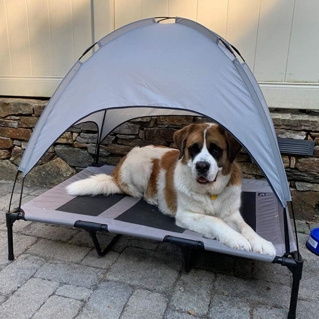 Tent Dog Bed with Removable Canopy 122 cm in 90 cm