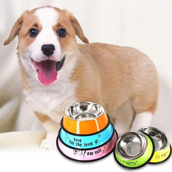 Stainless Steel Pet Bowl Regular Non Skid 30Cm