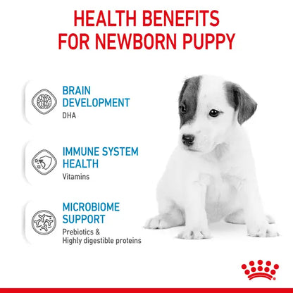 Royal Canin Baby Dog Instant Milk Powder with DHA for All Breeds 0-2 Months 400 gr