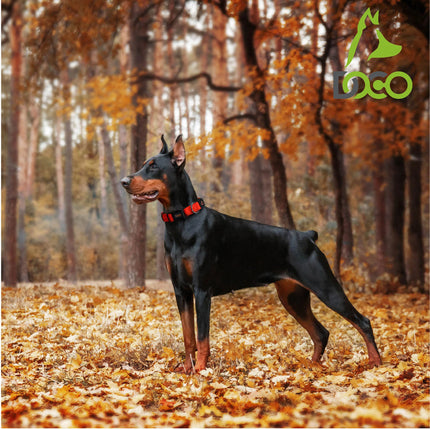 طوق كلب كبير من النايلون الأسود من دوكو مقاس 46 إلى 66 بوصة 2.5 سم