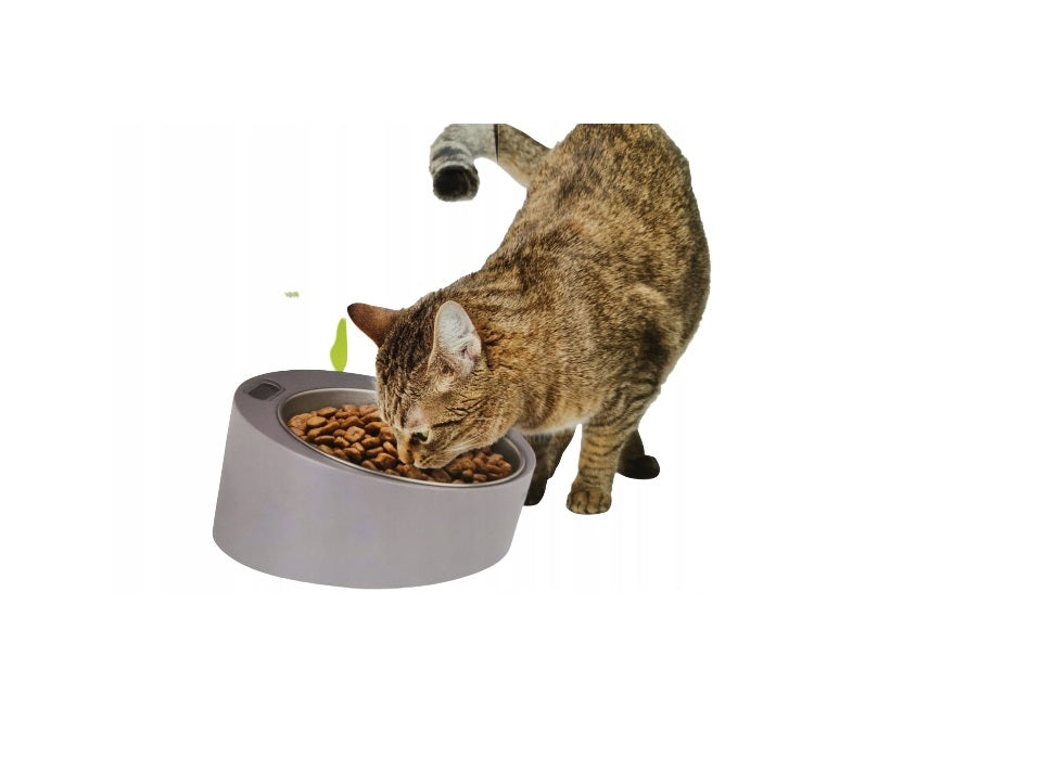 Zoofari Pet Feeding Bowl With Built in Scale Removable Stainless Steel