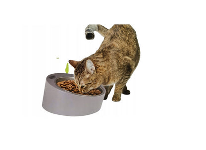 Zoofari Pet Feeding Bowl With Built in Scale Removable Stainless Steel