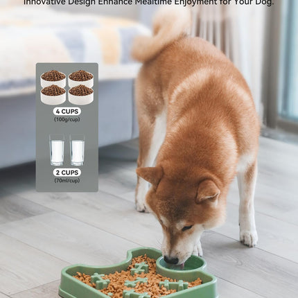 Slow Feeder Dog Bowl 2-in-1 Water and Food