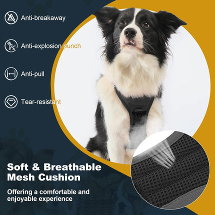 حزام كلب كبير من النايلون الرمادي من دوكو مقاس 2.5 بوصة من 65 إلى 99 سم