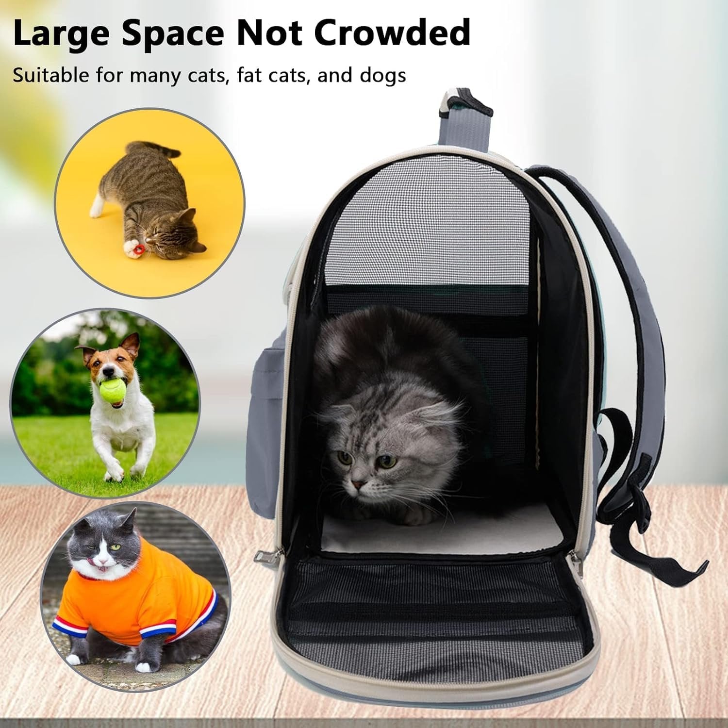 Glaceon Net bag Pet carrier for Cat and Dog