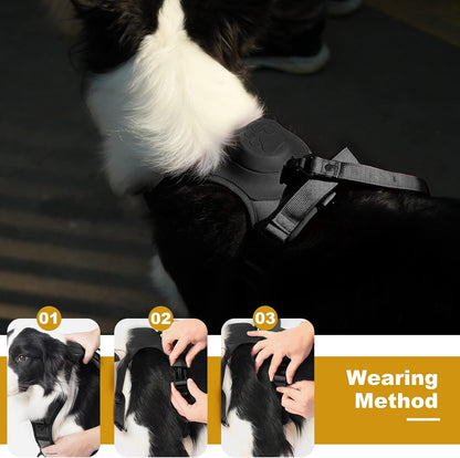 Harness and leash all in one for large dog