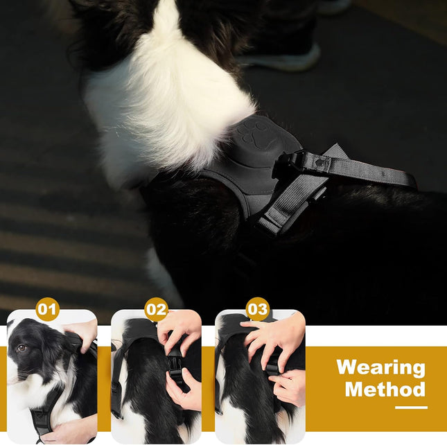 حزام كلب كبير من النايلون الرمادي من دوكو مقاس 2.5 بوصة من 65 إلى 99 سم