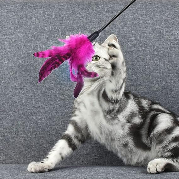 Hello mickey cat teaser Feather with Bells