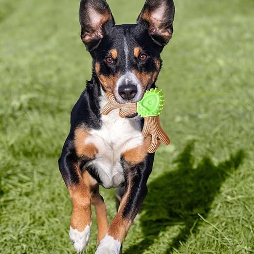 Bone toy for pets made of wood in green and brown