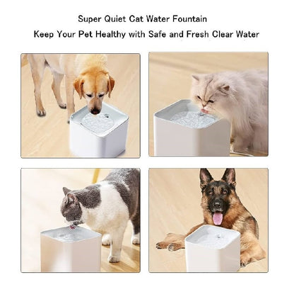 Naomi Smart Pet Drinking Fountain 3L