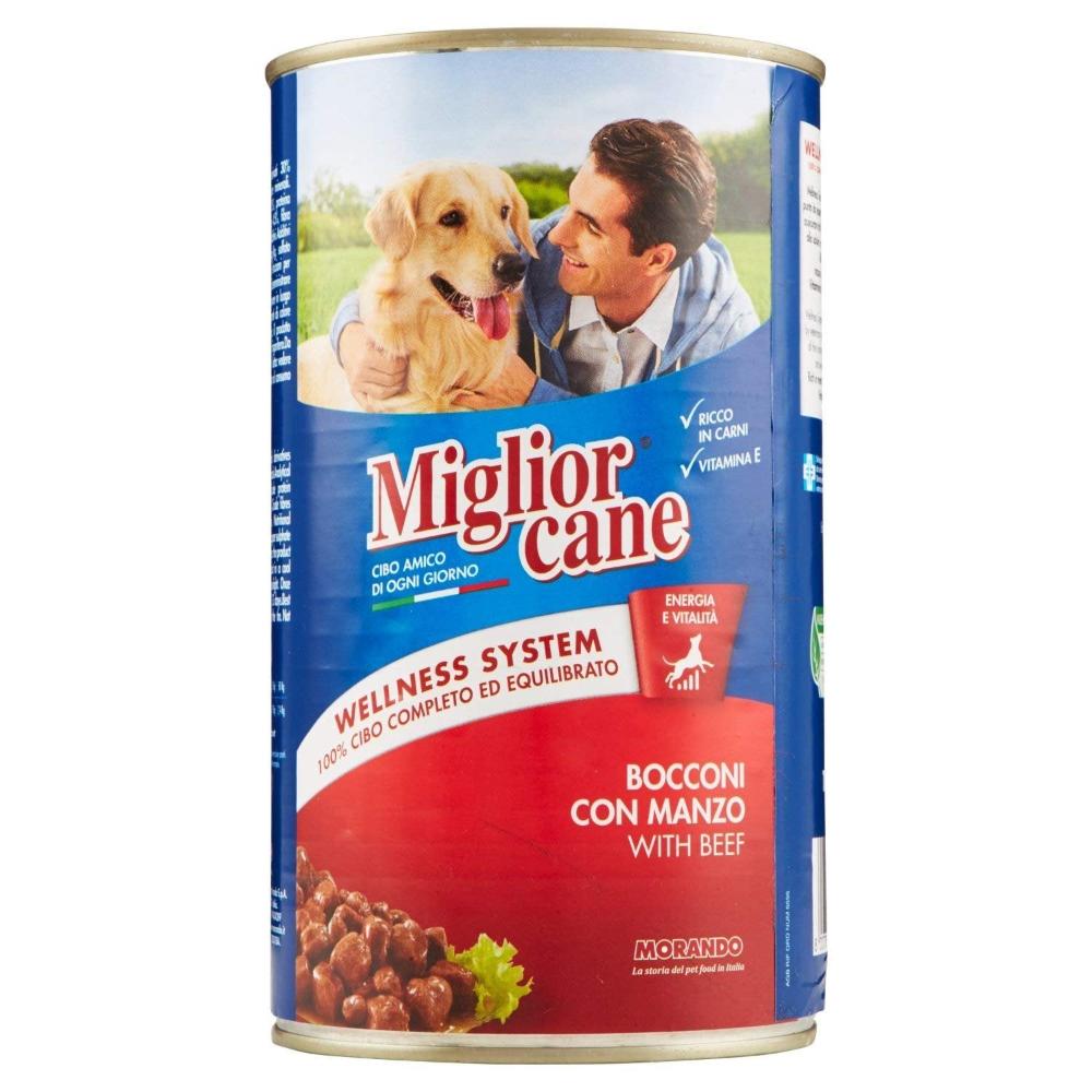 Miglior Cane Chunks With Beef For Dogs 405 g