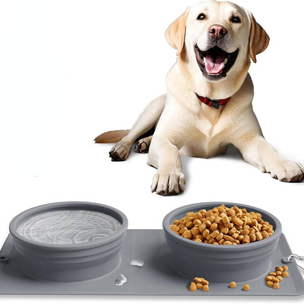 Feeder Dog Bowl 2-in-1 Water and Food