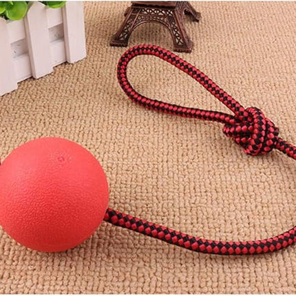 PawZilla Ball Toy With Rope