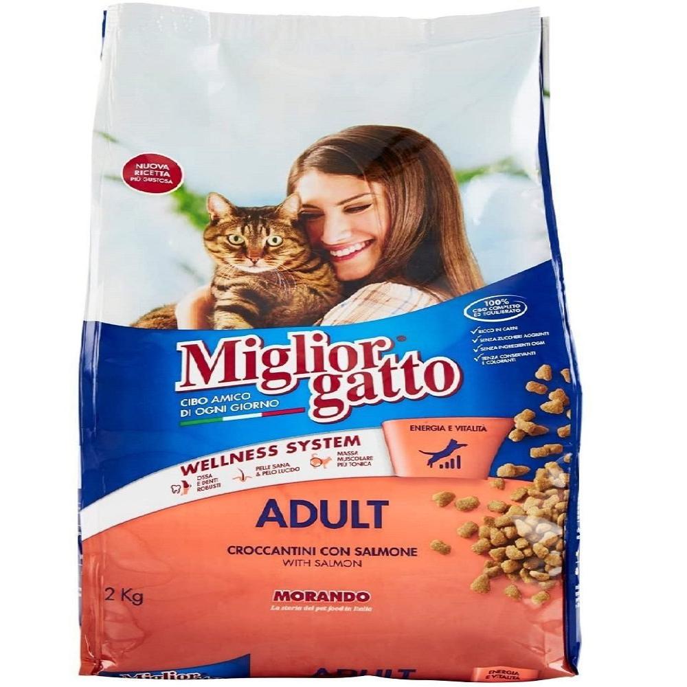 Miglior Gatto Dry Food With Salmon 2kg