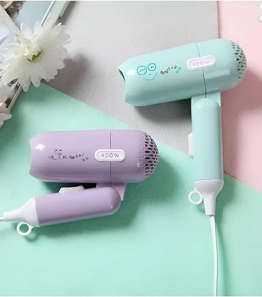 Pet hair dryer with 2 Speed tiny size