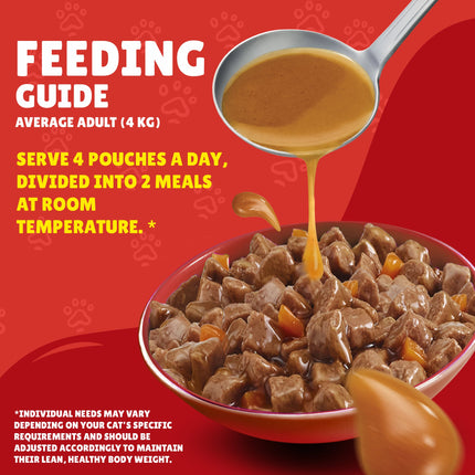 Purina Friskies Adult Cat Wet Food With Turkey In Gravy 85G