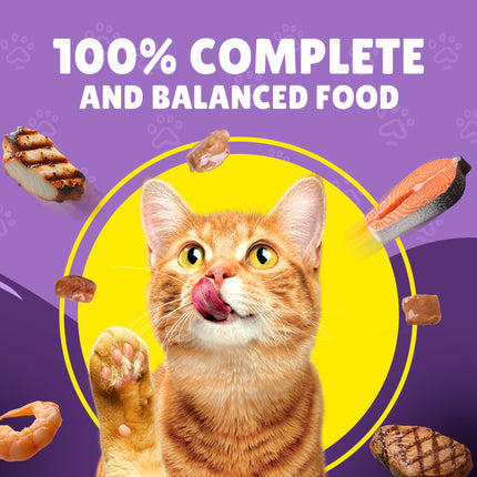 Purina Friskies Wet Food With Beef In Gravy  85 gr