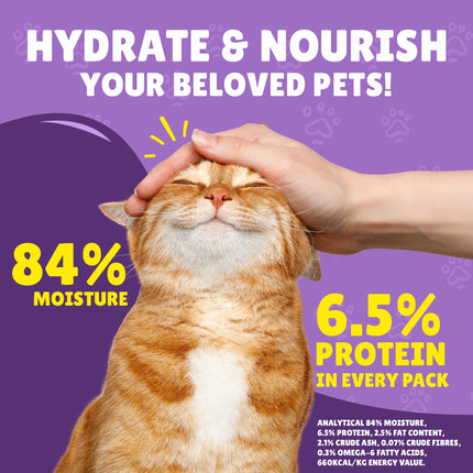 Purina Friskies Wet Food With Beef In Gravy  85 gr