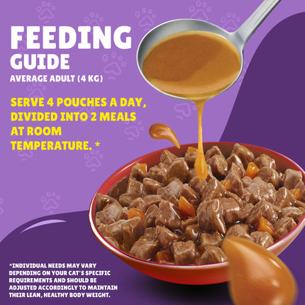 Purina Friskies Wet Food With Beef In Gravy  85 gr