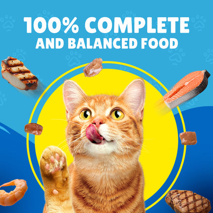 Purina Friskies Salmon In Gravy Pouch 85g