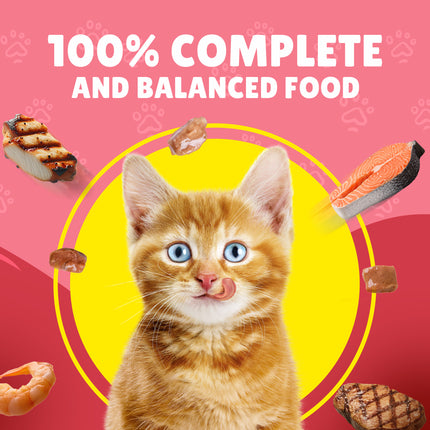 Purina Friskies Junior Cats With Chicken In Gravy 85g