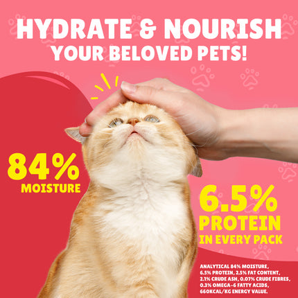 Purina Friskies Junior Cats With Chicken In Gravy 85g