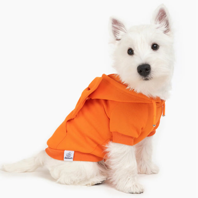 Large Orange Printed Dog Hoodie