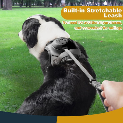 Harness and leash all in one for large dog