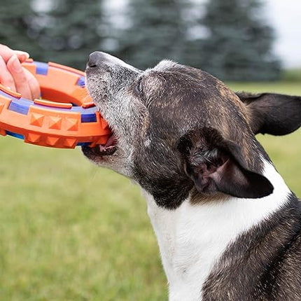 Nerf Dog Mega Tuff Toy
