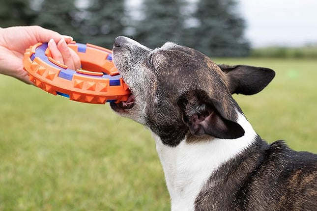 Nerf Dog Mega Tuff Toy