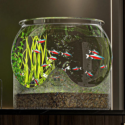 Decorative Transparent Fish Tank Modern Round Bowl for Small Fish