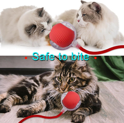 لعبة سمكة الحيوانات الأليفة من CAtyy بتصميم مختلط 