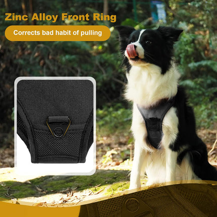 حزام كلب كبير من النايلون الرمادي من دوكو مقاس 2.5 بوصة من 65 إلى 99 سم