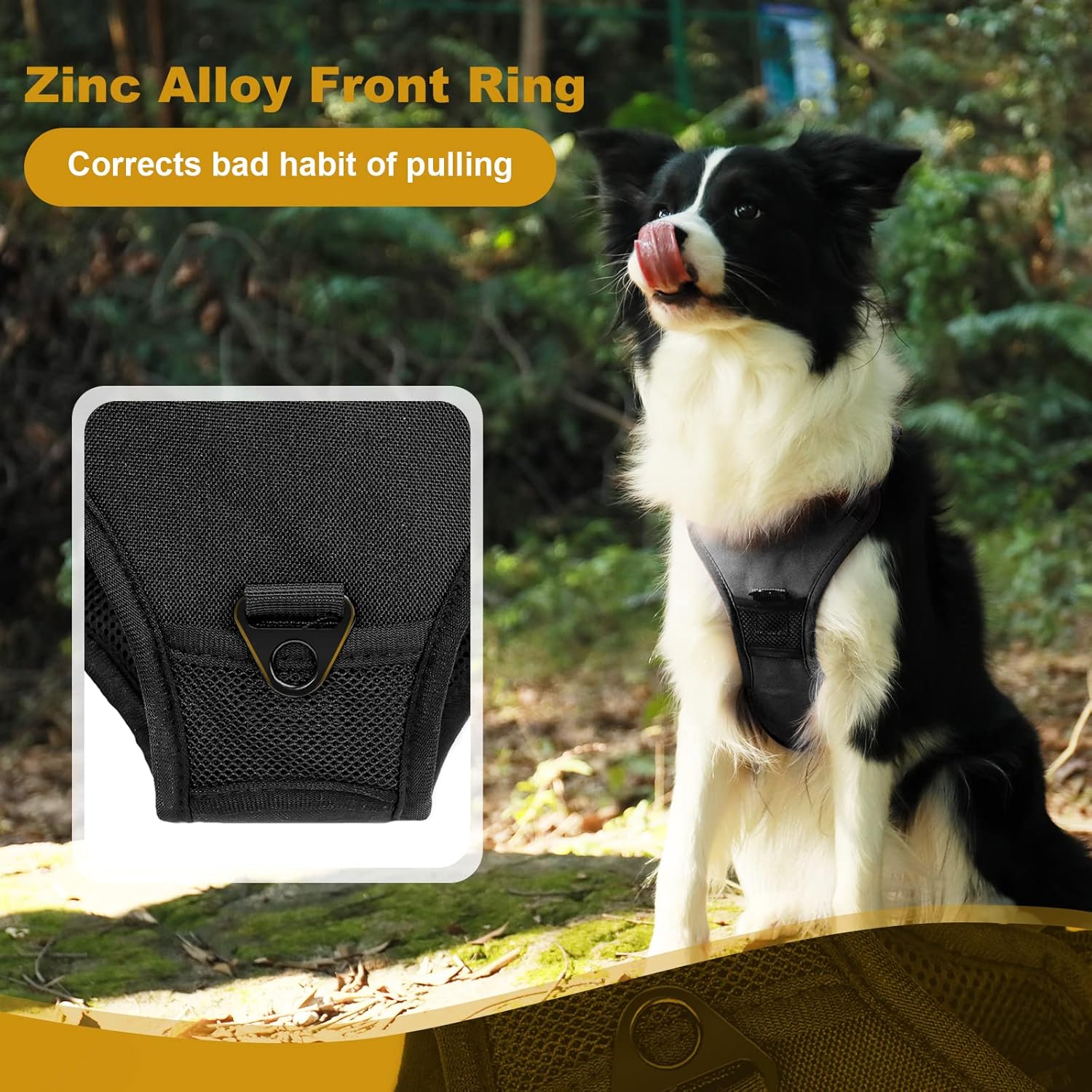 Harness and leash all in one for large dog