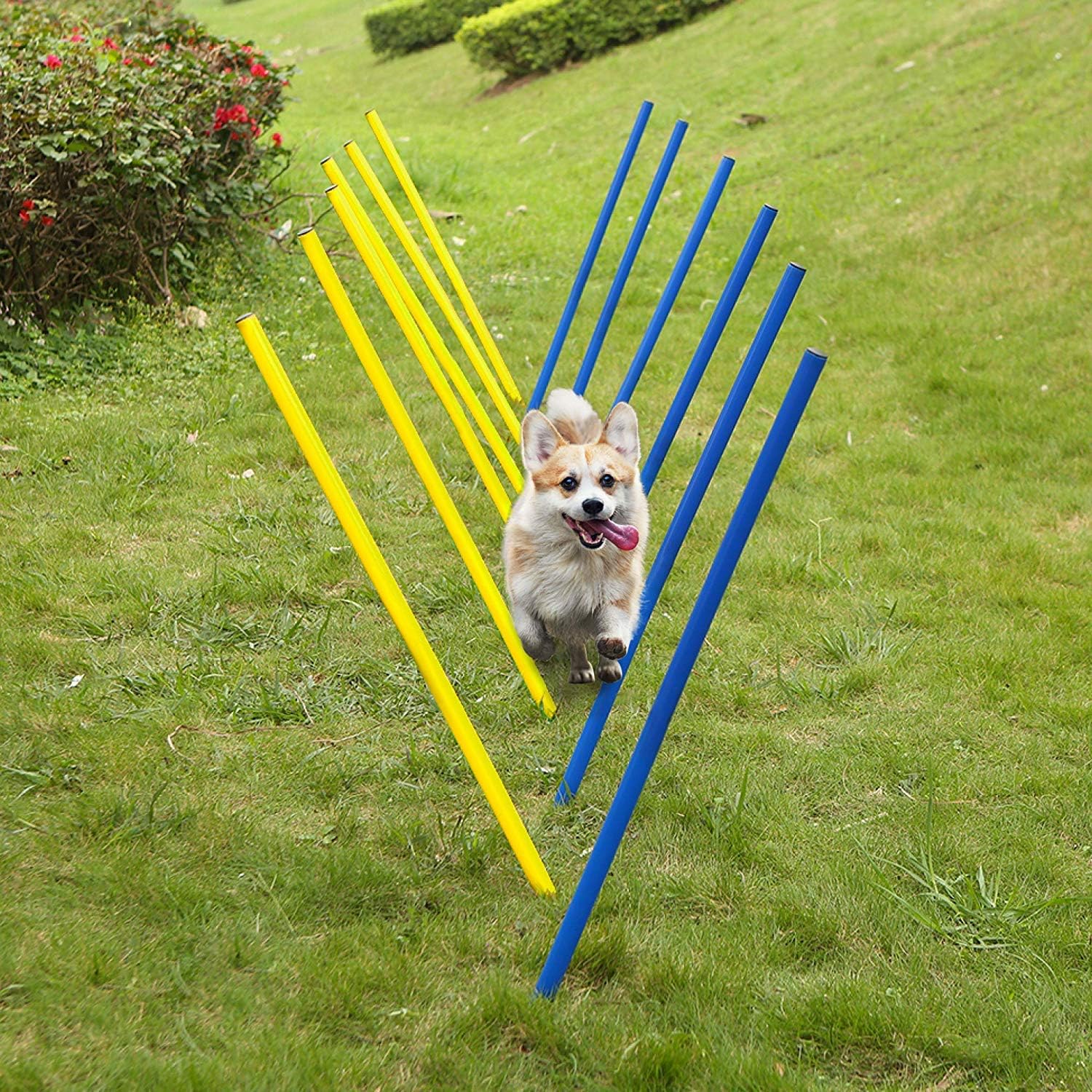 Zoofari Agility Hurdle 112 in 0.3 Cm 6 Pcs