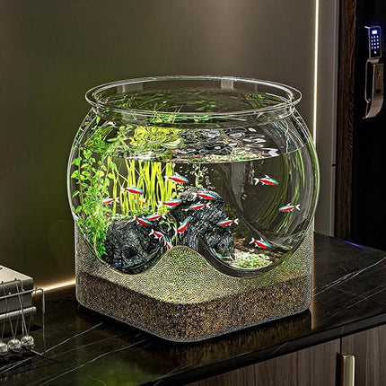 Decorative Transparent Fish Tank Modern Round Bowl for Small Fish