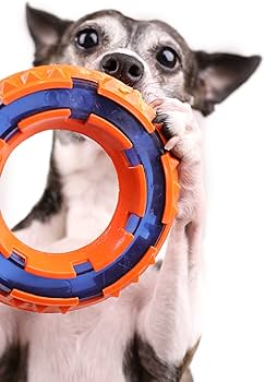 Nerf Dog Mega Tuff Toy