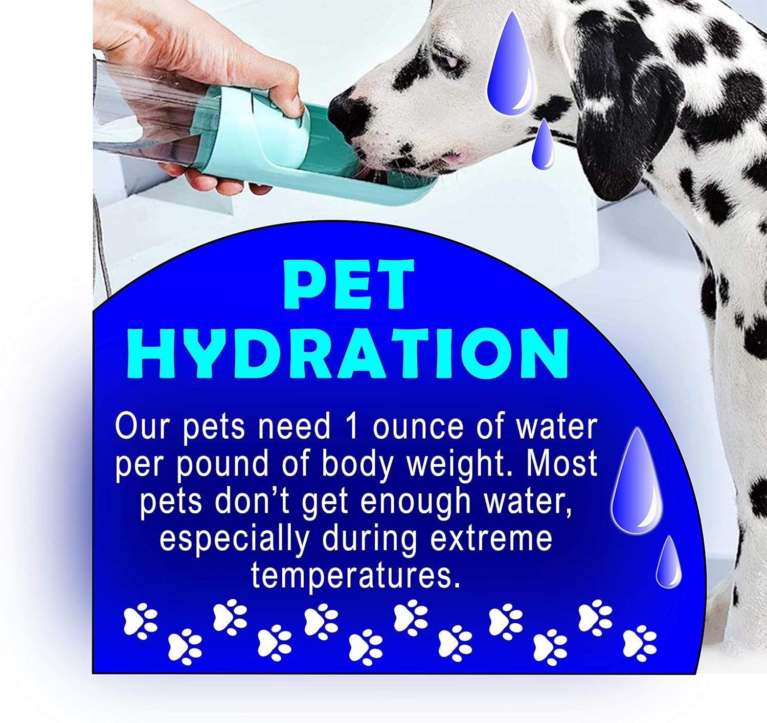 Portable Folding Pet Drinking Water Bottle 300 ml