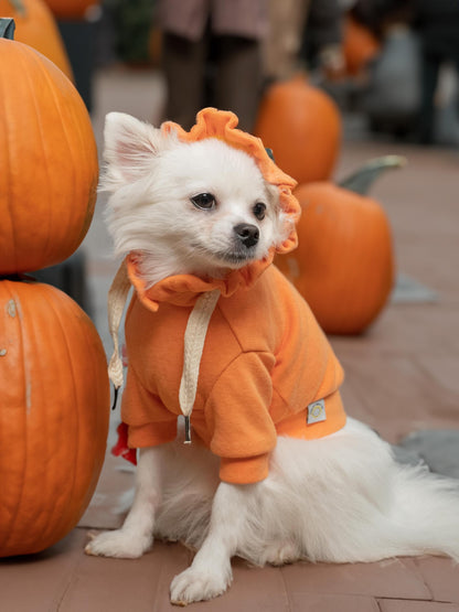Large Orange Printed Dog Hoodie