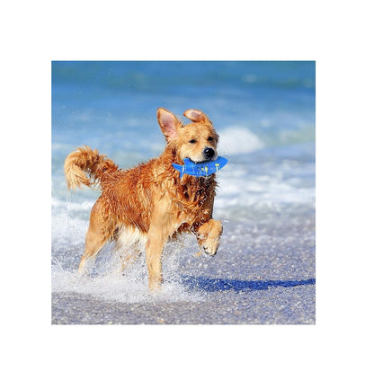 Nerf Dog Super Soaker Rustling Toy