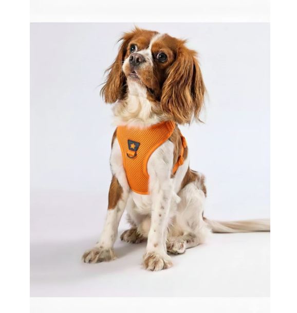PAWSTAR Air-Mesh Harness Orange XL