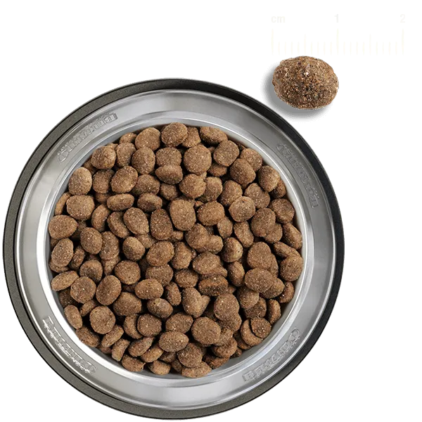 Belcando Adult Finest Croc Dog Dry Food  XS-M 4 kg