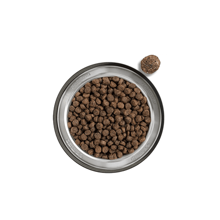 Belcando Finest Salmon For Mini Adult Dogs ( XS-M ) 12.5 KG