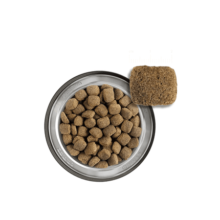 Belcando Maxi Junior Dry Food 12.5 Kg