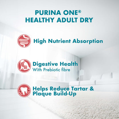 Purina ONE Dry Food for adult cat With Salmon 200 gr