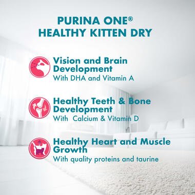 Purina ONE Dry Food for Kitten With Chicken 200 gr