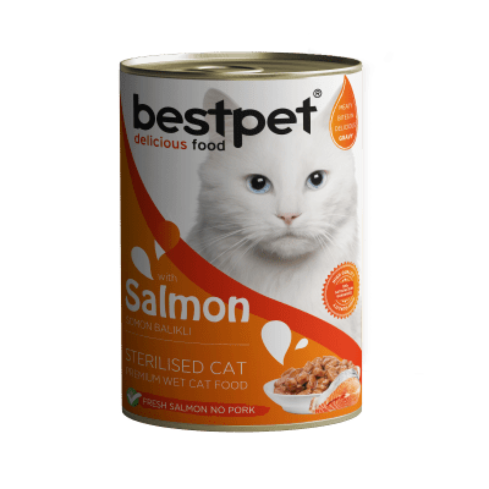 طعام مبلل معلب بالسلمون من BestPet 400 جرام