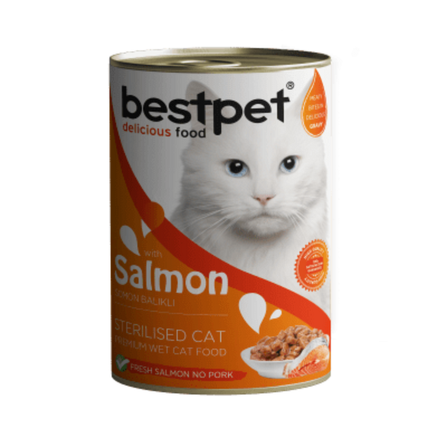BestPet Canned Wet Food With Salmon 400g