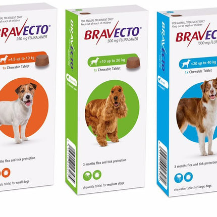 Bravecto Chewable Tablet Fluralaner For Dogs 4.5-10 Kg