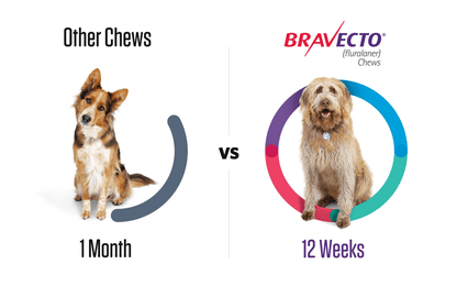 Bravecto Chewable Tablet Fluralaner For Dogs 4.5-10 Kg